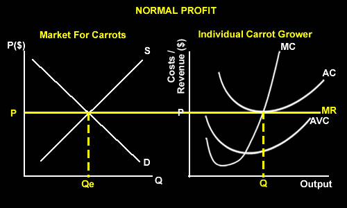 perfect-competition